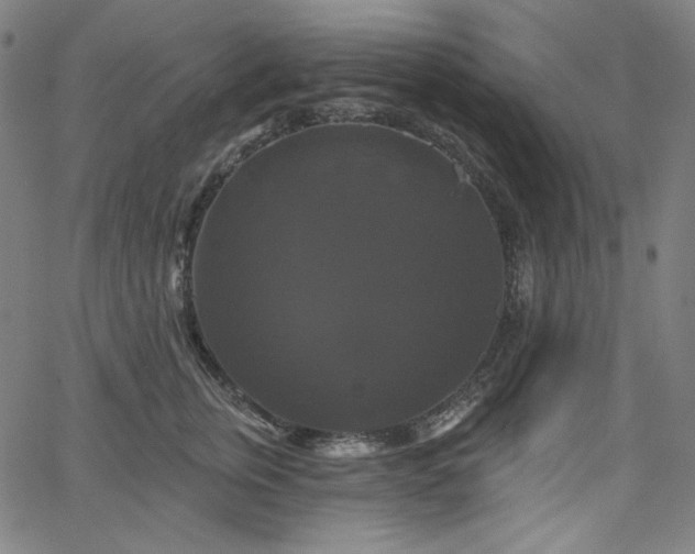 X0000066120759200603101235