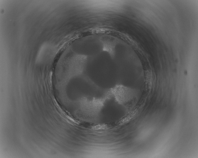 X0000066120761200603101235