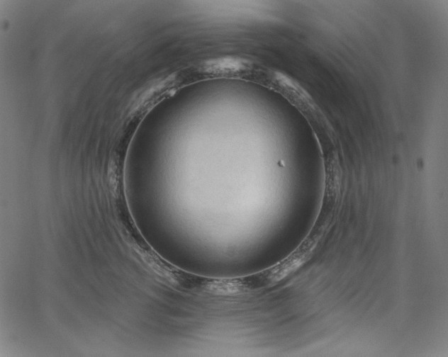 X0000066120762200603101235