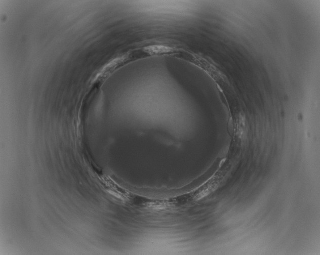 X0000066120763200603101235