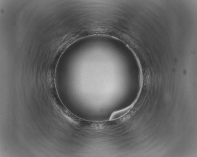 X0000066120764200603101235