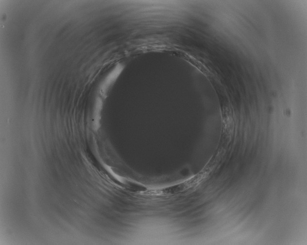 X0000066120767200603101235