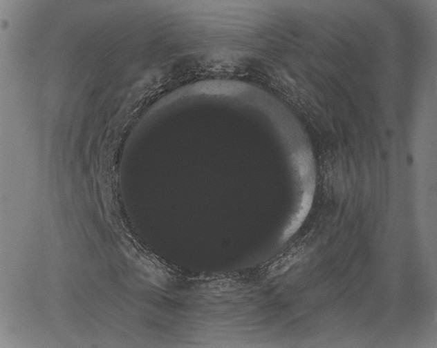 X0000066120769200603101235