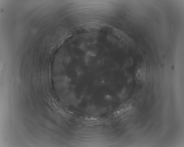 X0000066120772200603101234