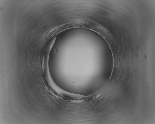 X0000066120773200603101234