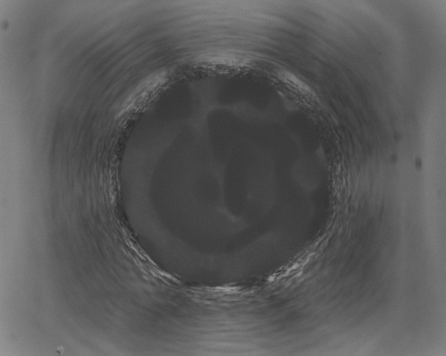 X0000066120774200603101234