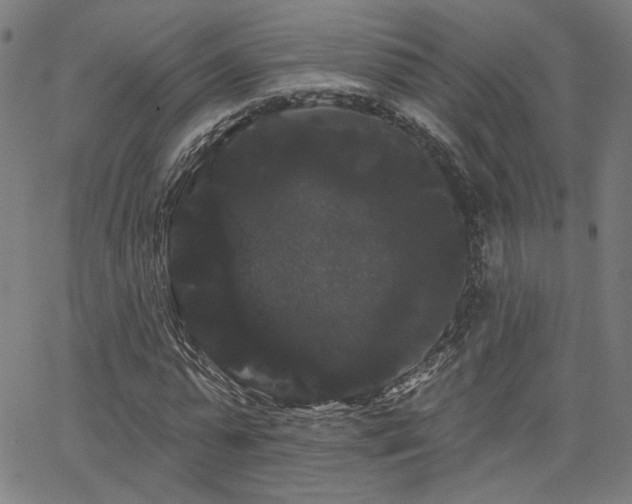 X0000066120775200603101234