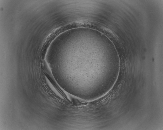 X0000066120776200603101234