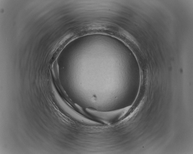 X0000066120777200603101234