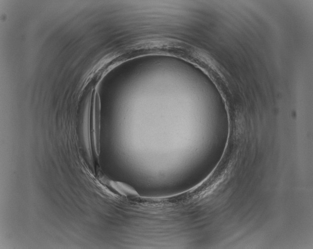 X0000066120778200603101234