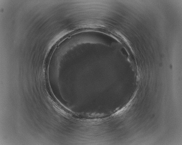 X0000066120779200603101234