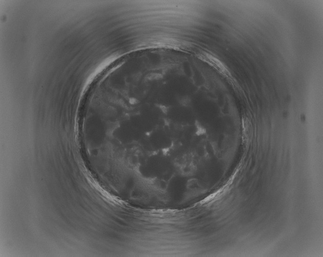 X0000066120780200603101234