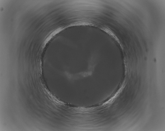 X0000066120781200603101234