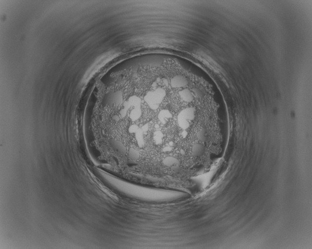 X0000066120782200603101234