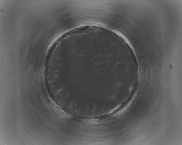 X0000066120783200603101234