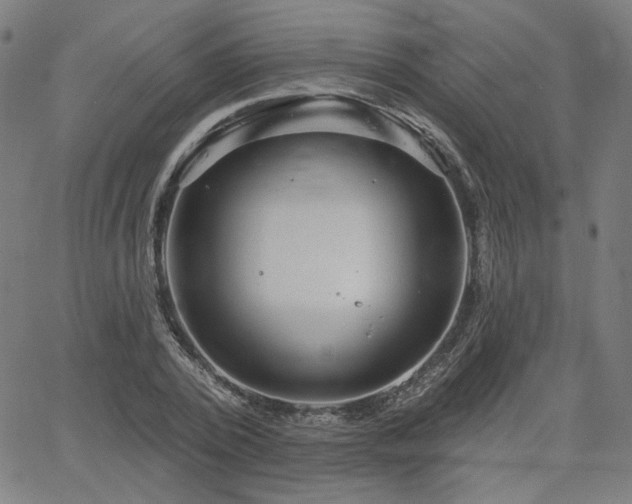 X0000066120784200603101234