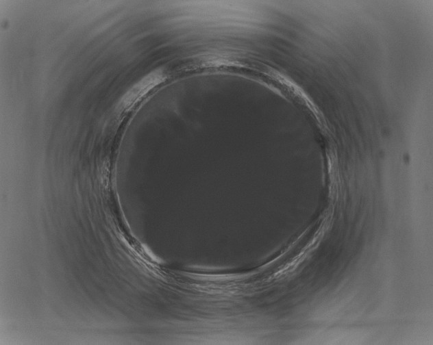 X0000066120785200603101234