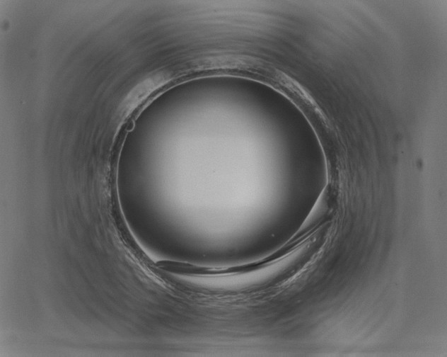 X0000066120786200603101234