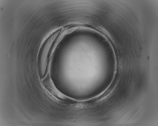 X0000066120787200603101234