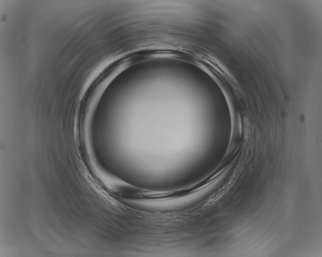 X0000066120788200603101234