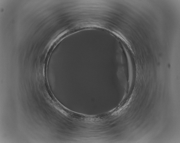 X0000066120790200603101234