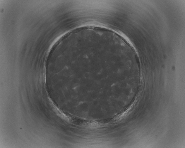 X0000066120791200603101234