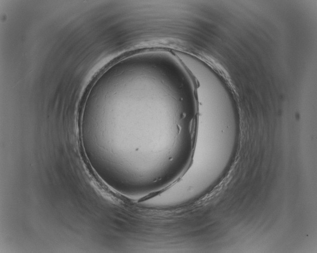 X0000066120792200603101234