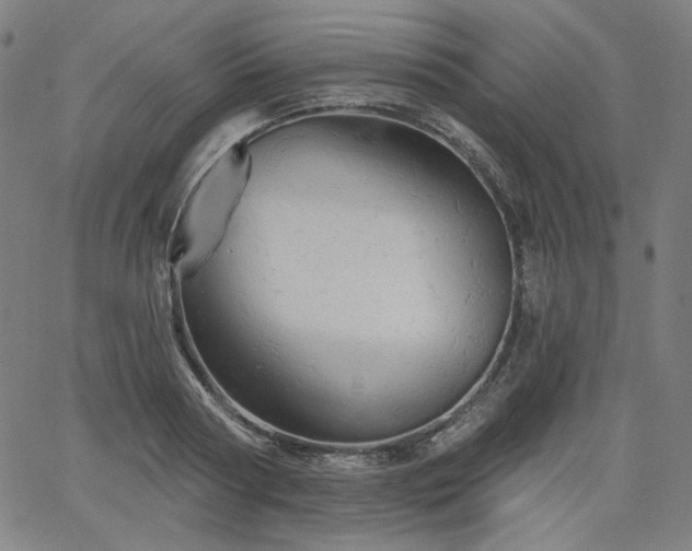 X0000066120794200603101234