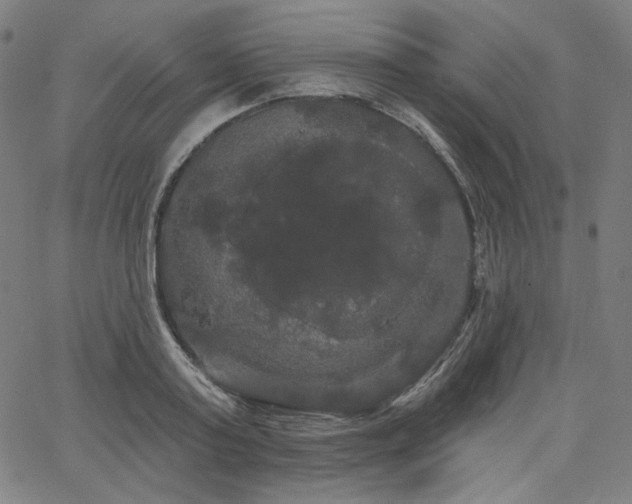 X0000066120795200603101234