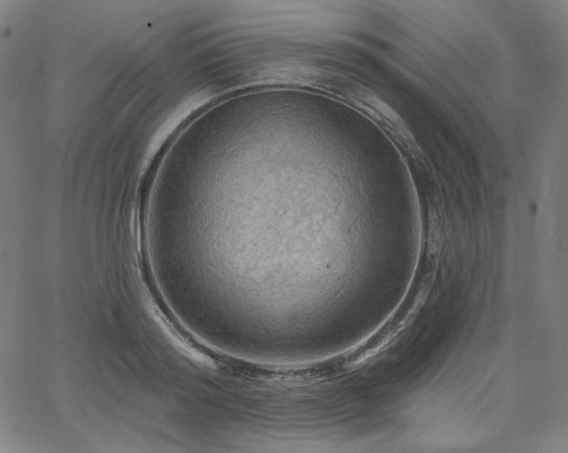 X0000066120796200603101234