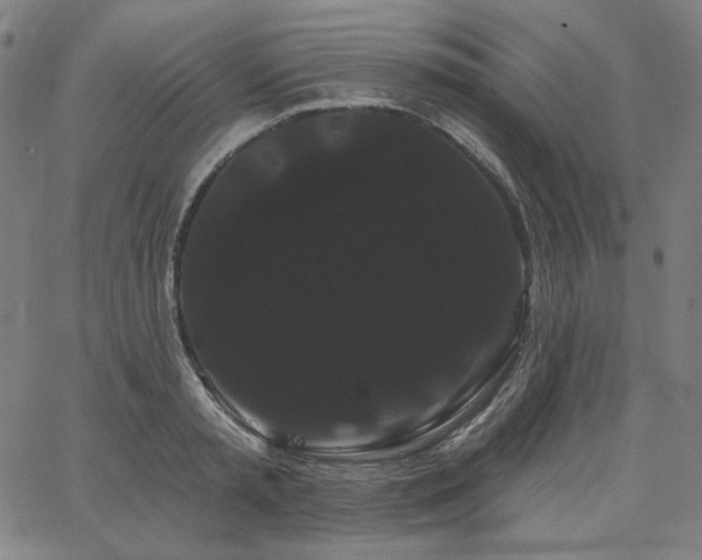 X0000066120797200603101234