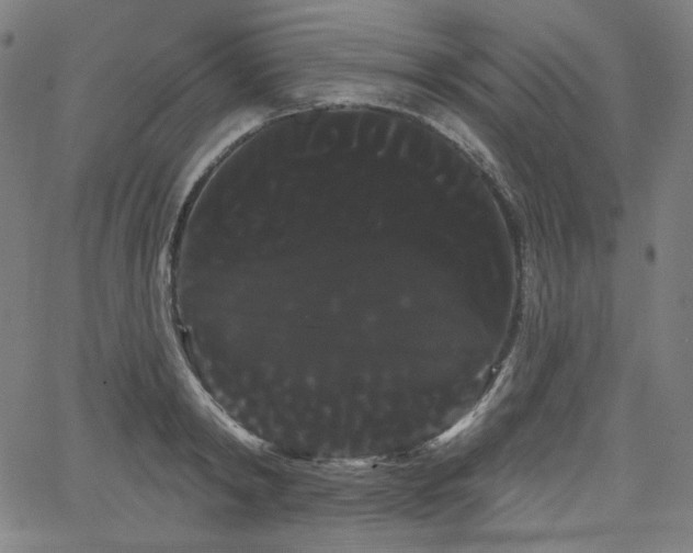 X0000066120798200603101234