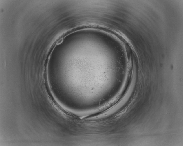 X0000066120799200603101234