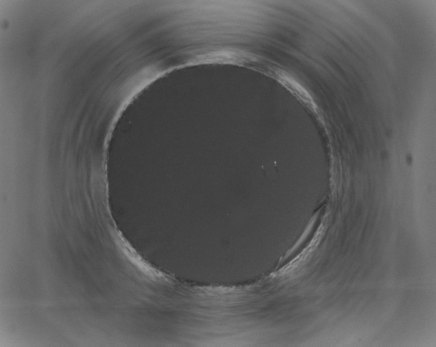 X0000066120800200603101234