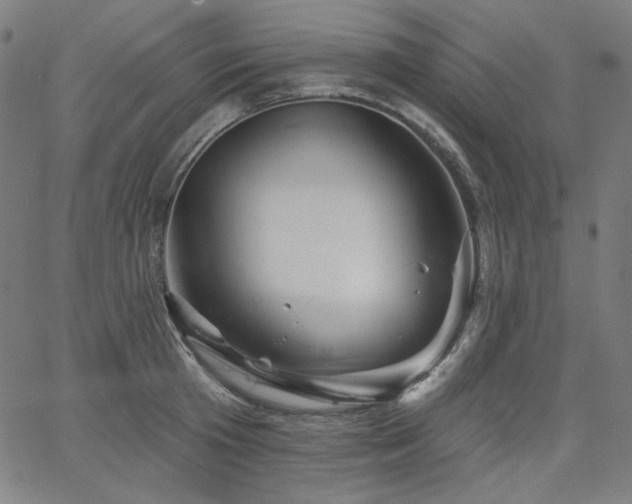 X0000066120801200603101234