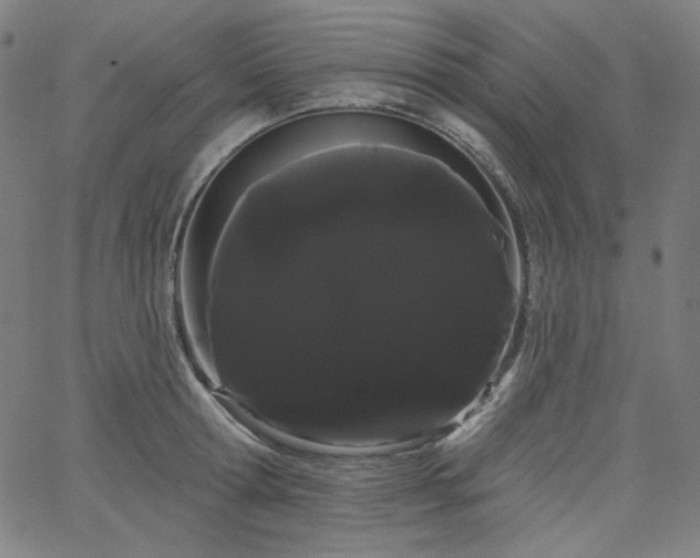 X0000066120802200603101234