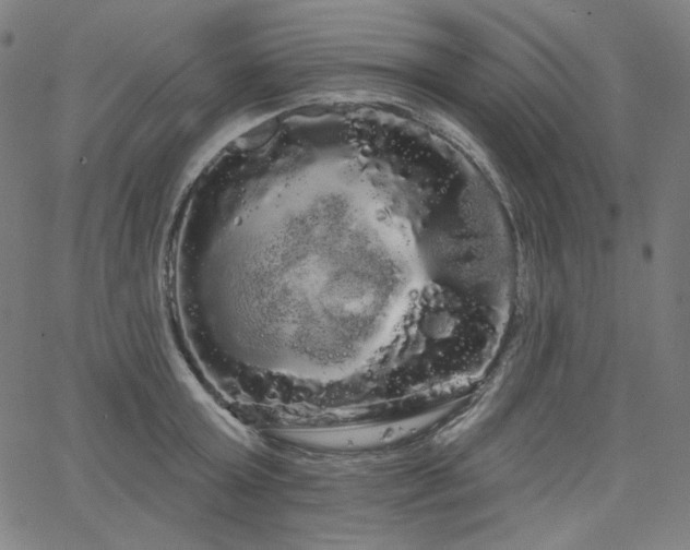 X0000066120803200603101234