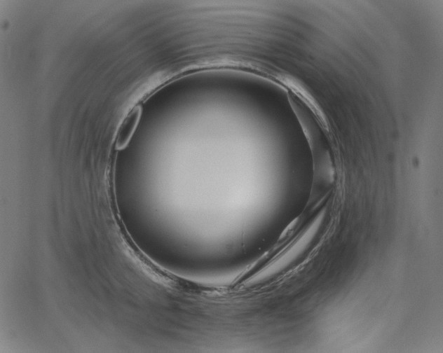 X0000066120805200603101234