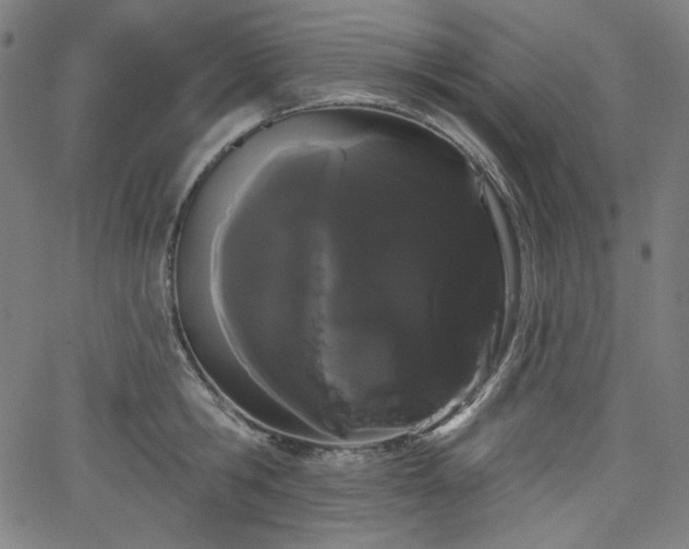 X0000066120806200603101234