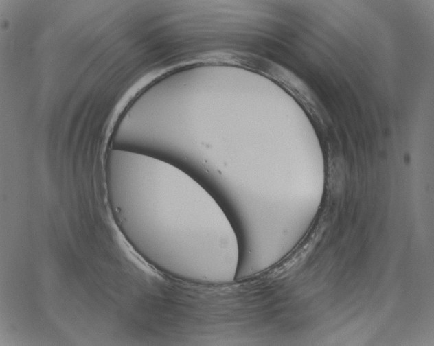 X0000066120808200603101234