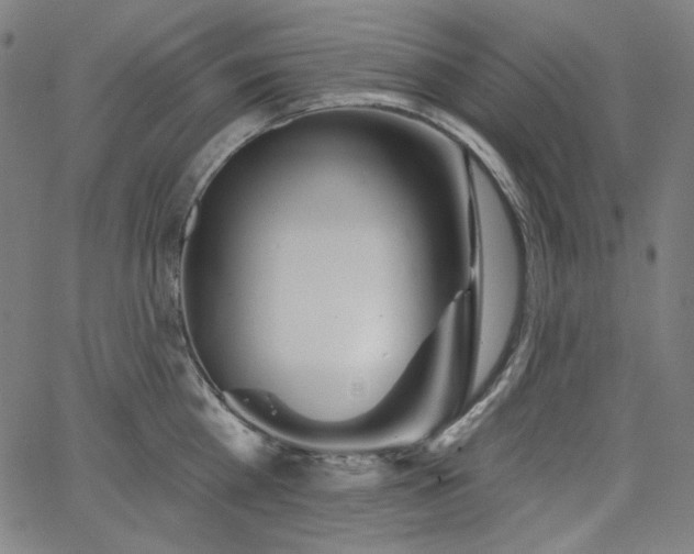 X0000066120809200603101234