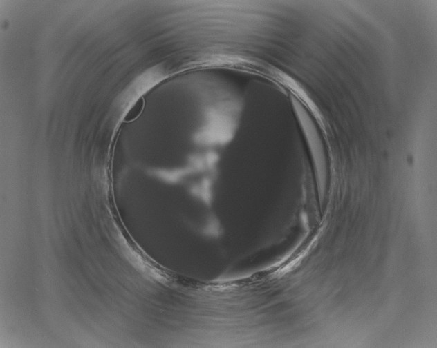 X0000066120810200603101234