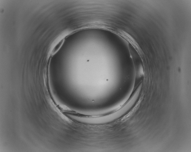 X0000066120812200603101234