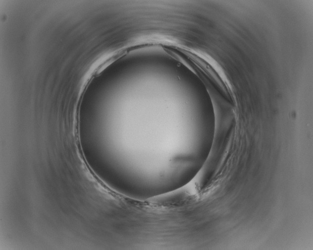 X0000066120815200603101234