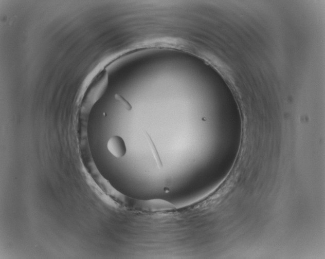 X0000066120816200603101234