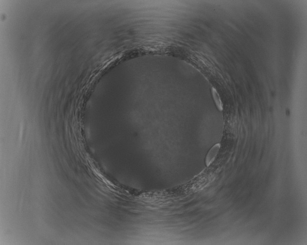 X0000066120817200603101233