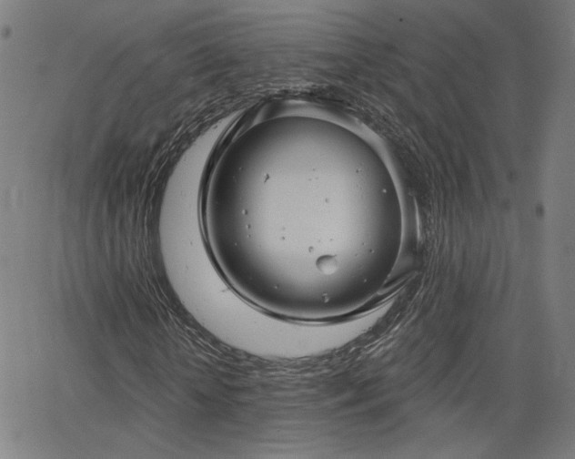 X0000066120818200603101233