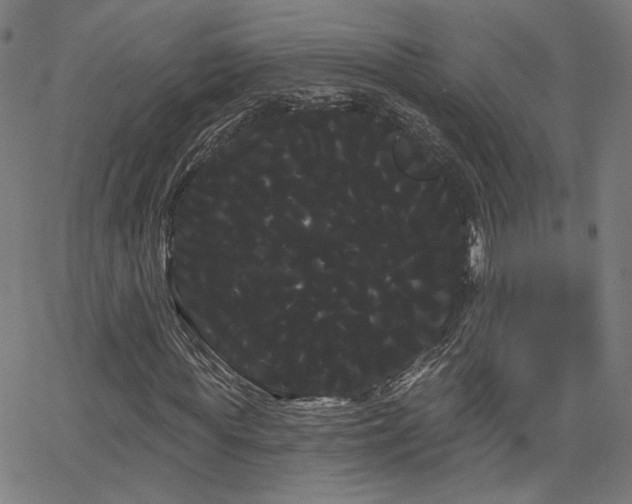 X0000066120819200603101233