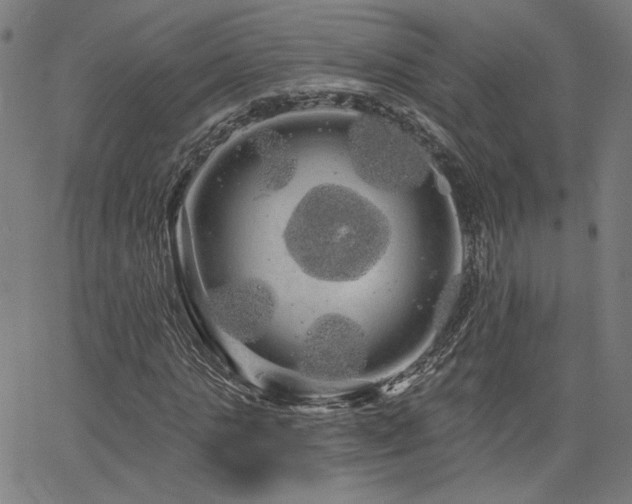 X0000066120821200603101233