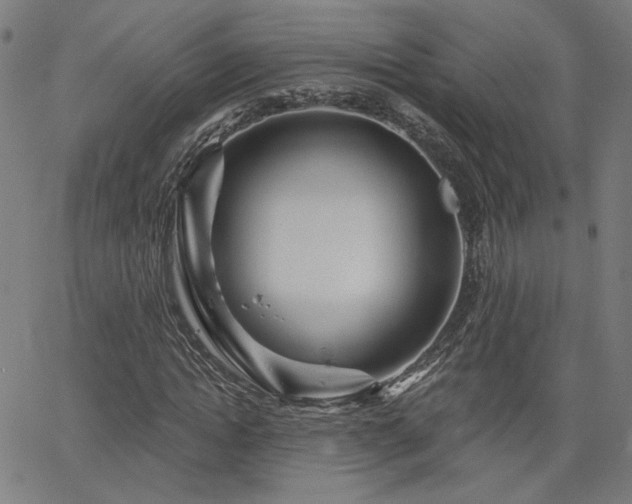 X0000066120822200603101233